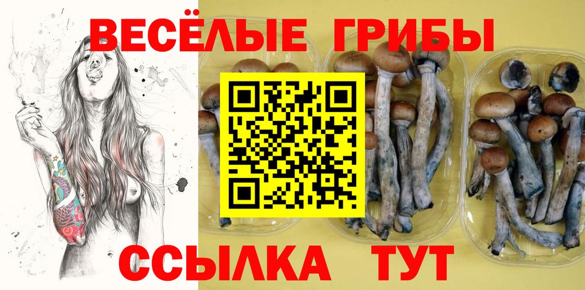 Псилоцибиновые грибы MAGIC MUSHROOMS  Вход с VPN  Борисоглебск 